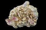 2.1" Amethyst Crystal Cluster - Las Vigas, Mexico - #155391-1
